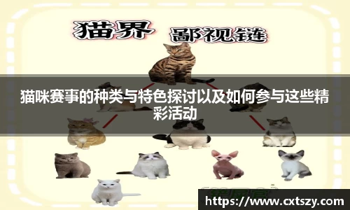 万向娱乐